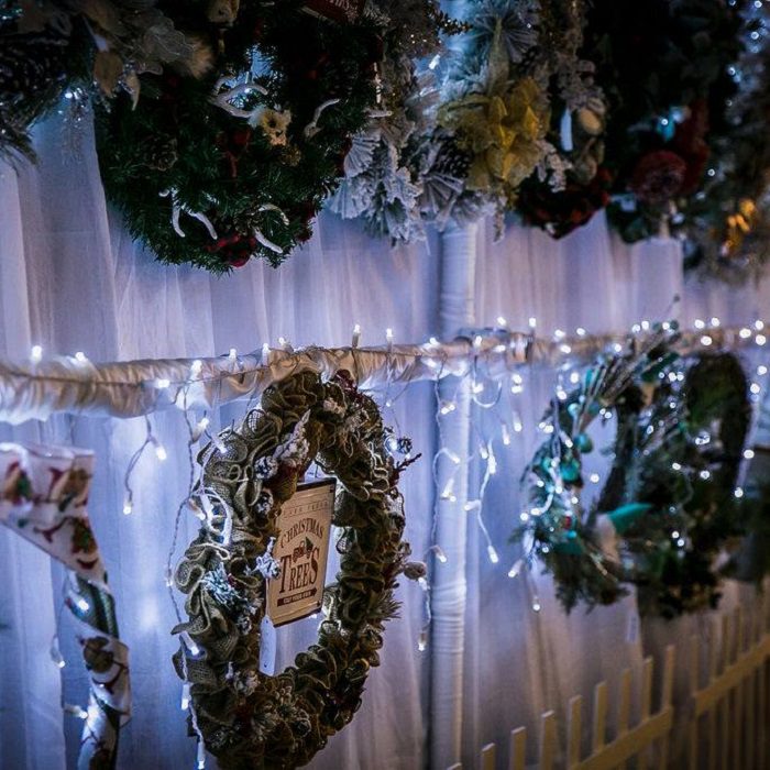 Christmas wreaths hanging on a wall